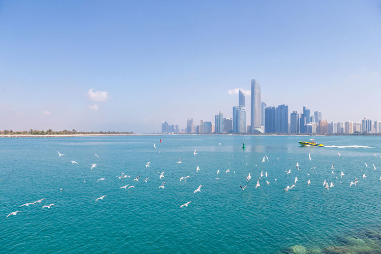 Abu dhabi cityscape during sunny day with seagulls flying around and travel boat in the waters