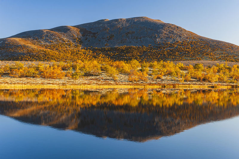 Mountain reflection on calm lake at autumn, norway. autumn colors