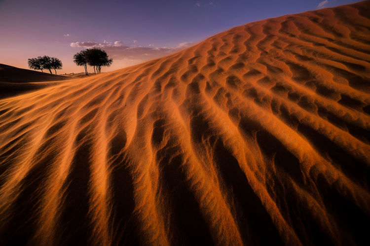 Sand dunes at desert during dusk