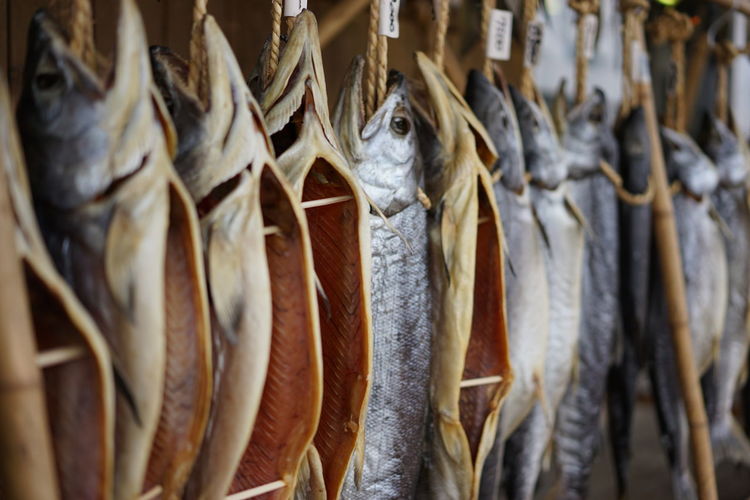 Dry salmons hanging for sale at fish market