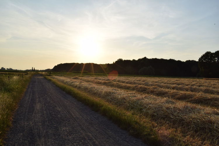 Road amidst agricultural field against sky during sunset