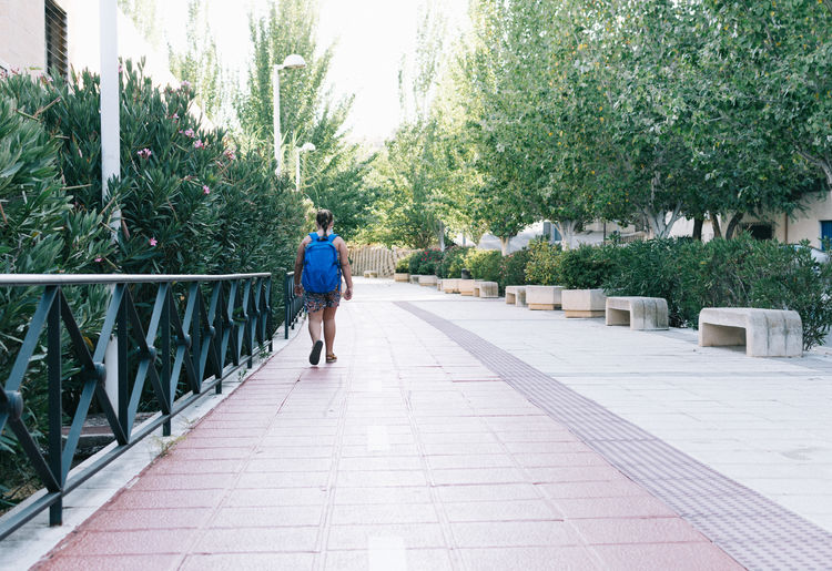 Rear view of man walking on footpath amidst trees