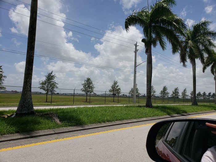 Road by palm trees against sky