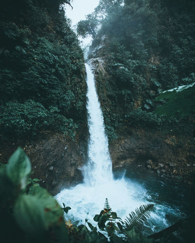 Scenic view of waterfall falling from mountain in forest