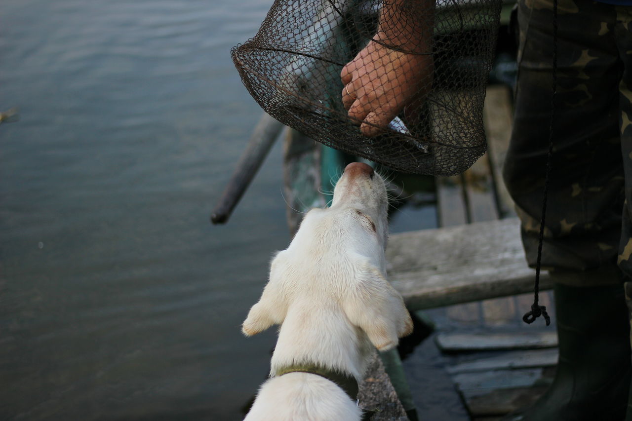 man with hook hand