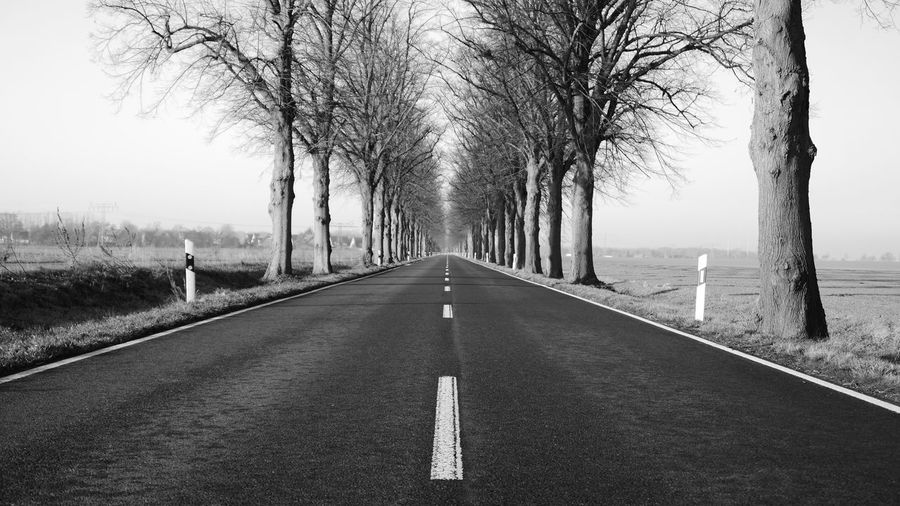 Empty road amidst bare trees against sky