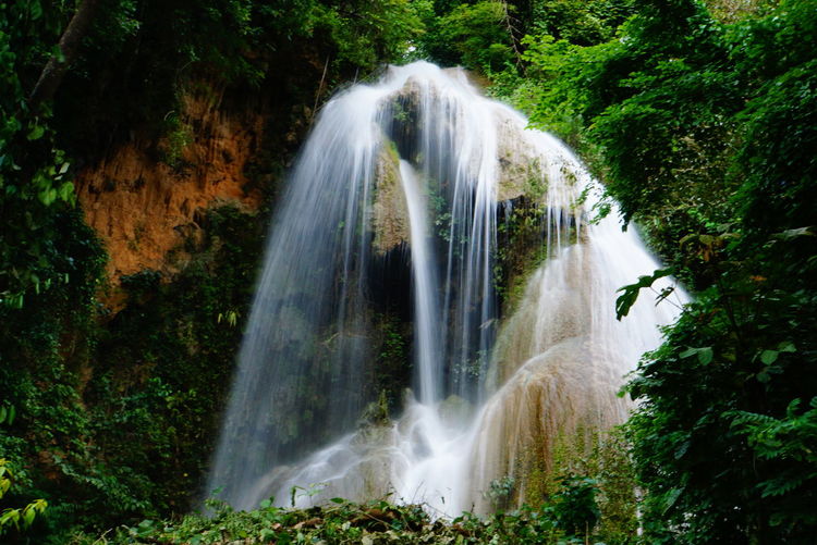 Scenic view of waterfall in forest