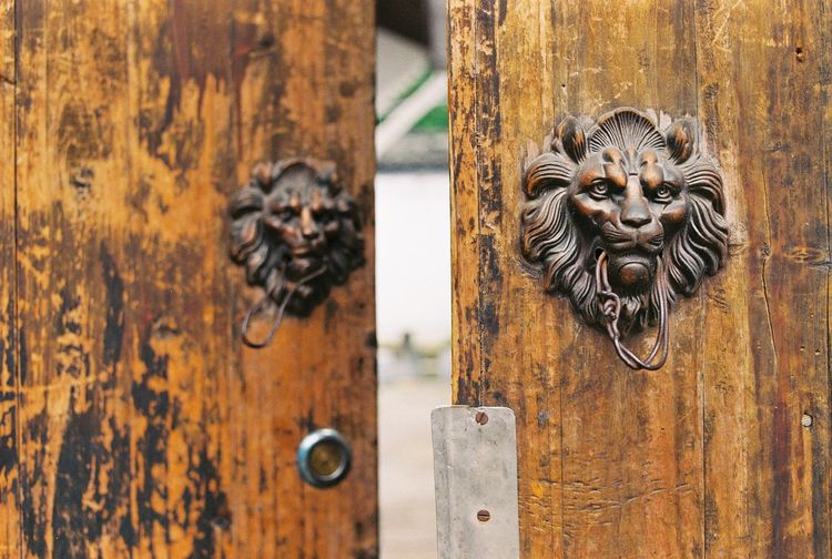 Close-up of old-fashioned lion door knocker
