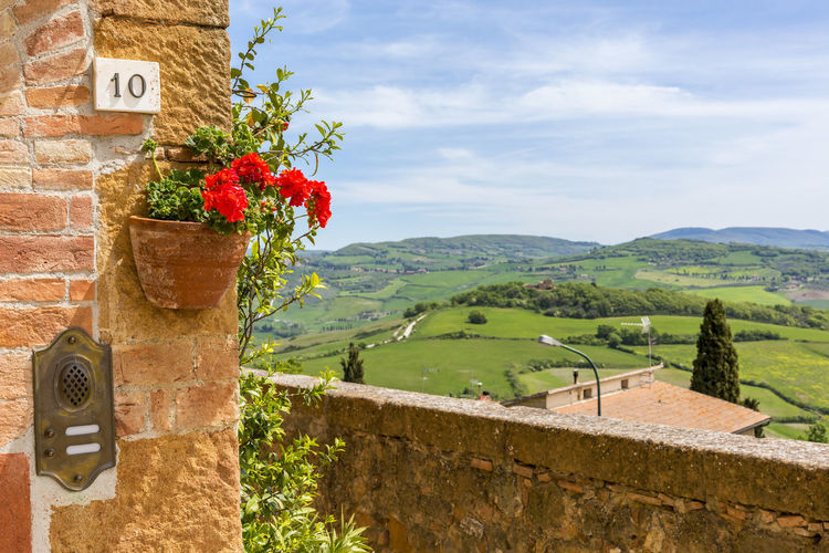 Red flowers in a flower pot on a wall with view the tuscan landscape in italy