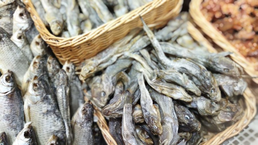 Close-up of dead fish in basket