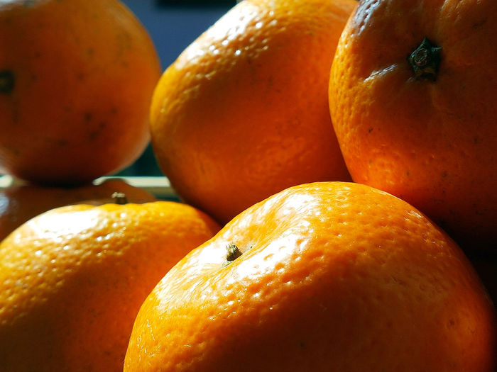Close-up of orange
