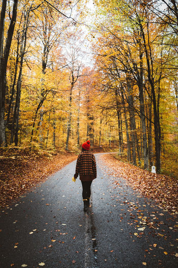 Rear view of man walking on footpath during autumn