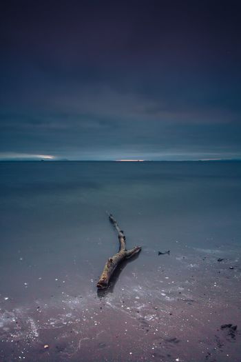 Driftwood on shore against sky