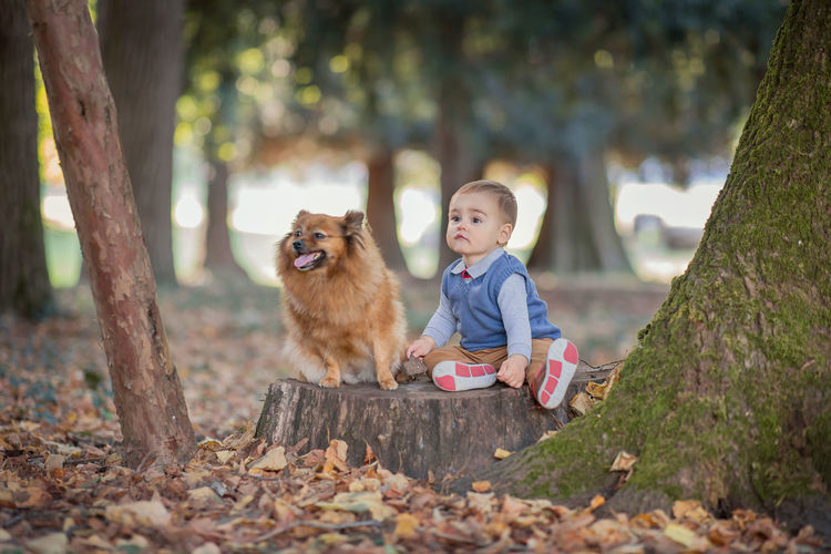 Full length of cute baby boy with dog sitting on tree stump