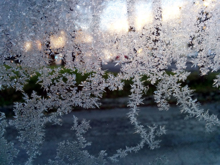 Close-up of snowflakes on window at sunset