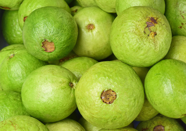 Guava - large amounts of guava fruit, fresh guava fruit, guava fruit in a basket