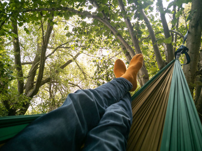 Legs in hammock in nature