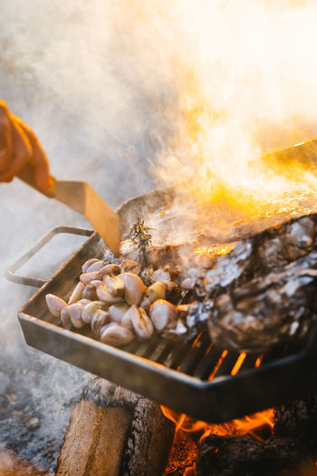Close-up of meat on barbecue grill