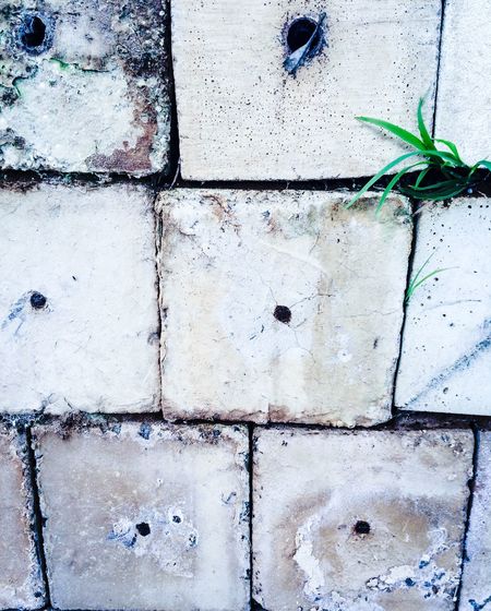 Close-up of weathered wall