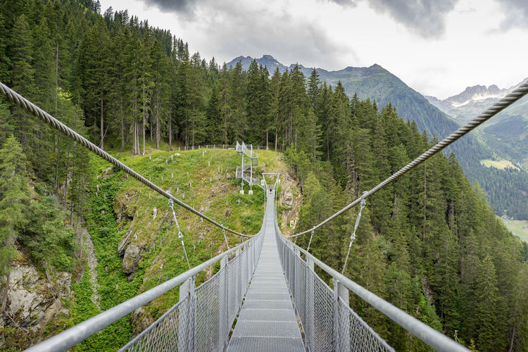 Panoramic shot of footbridge amidst trees in forest