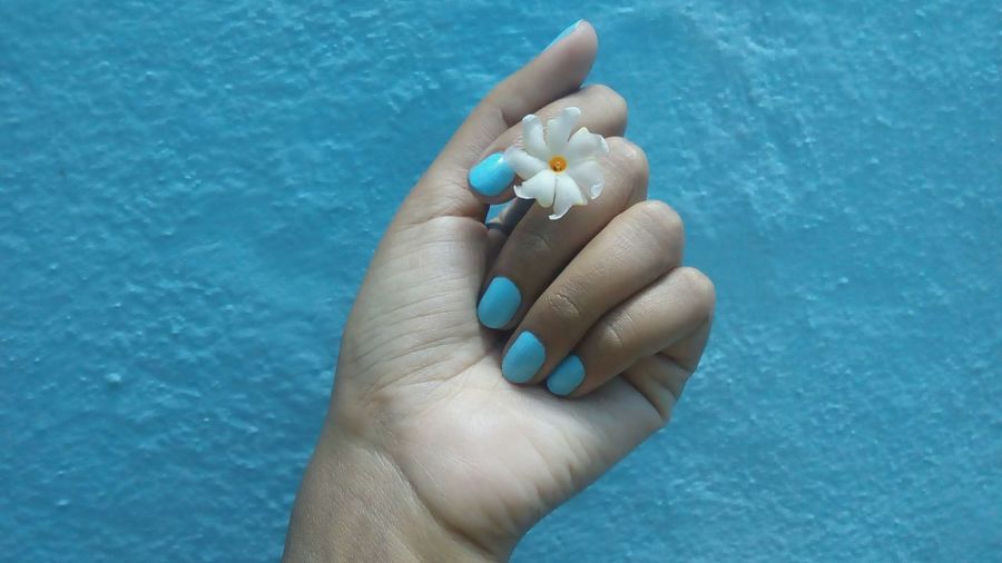 Close-up of hand holding flower