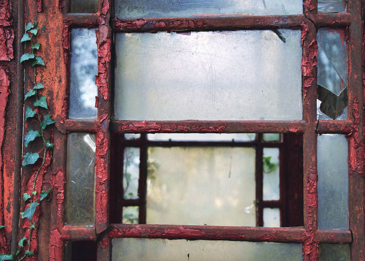 Nature and rust in a tender embrace