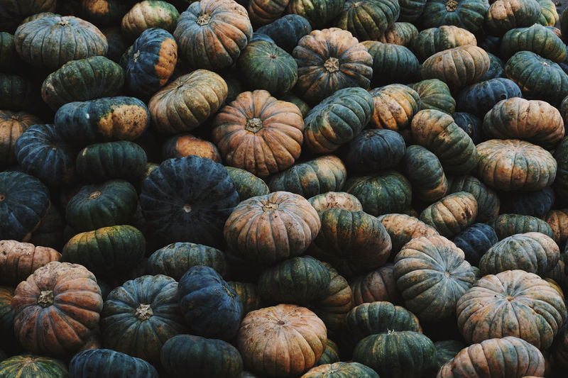 Full frame shot of pumpkins at market