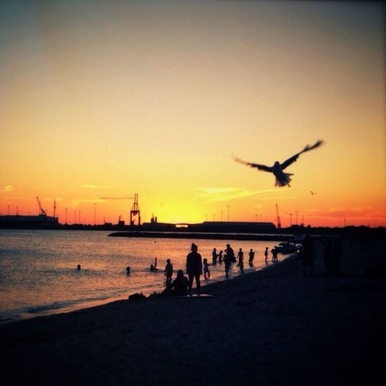 Scenic view of sunset
