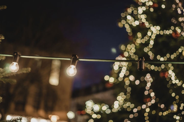 Illuminated light bulbs hanging against christmas tree at night