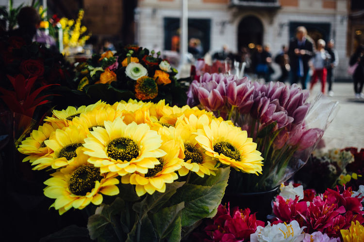 Close-up of fresh yellow flowers in market