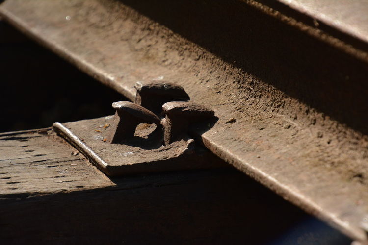 High angle view of rusty metal on wood