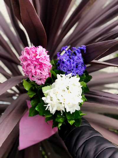 Close-up of purple flower bouquet