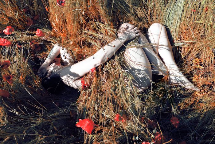 High angle view of sensuous naked woman covered with plants while lying on field