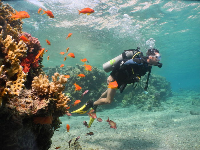 Side view of mid adult man swimming in sea