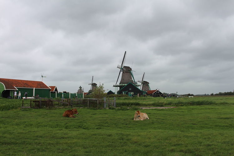 Traditional windmill on field against sky