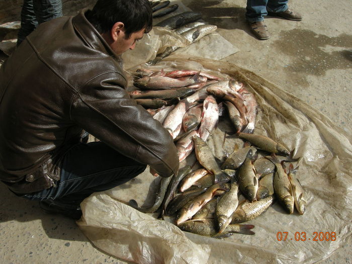 Full frame shot of fish for sale at market