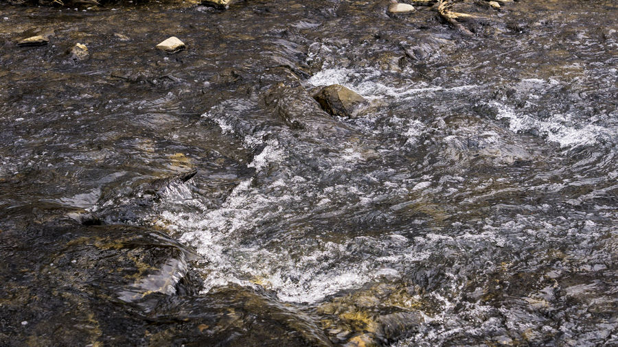 Full frame shot of rocks in water