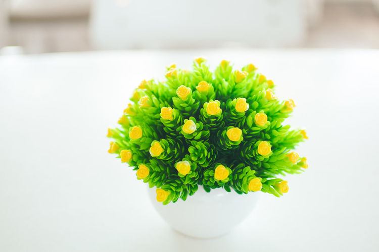 yellow