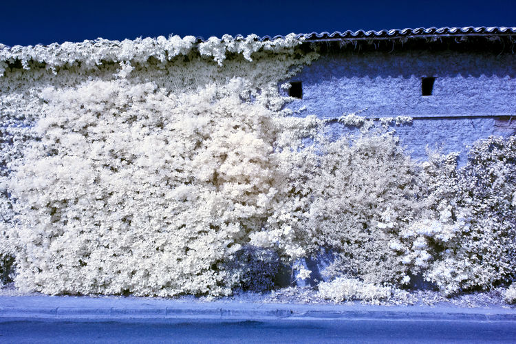 Snow covered land against sky