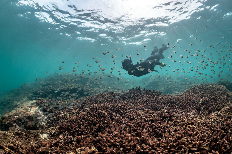 Woman scuba diving amidst fishes in sea