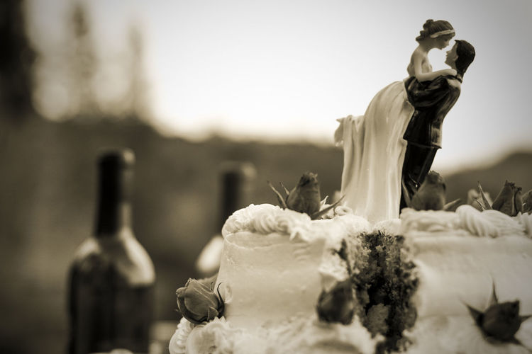 Bride and bridegroom figurines on wedding cake