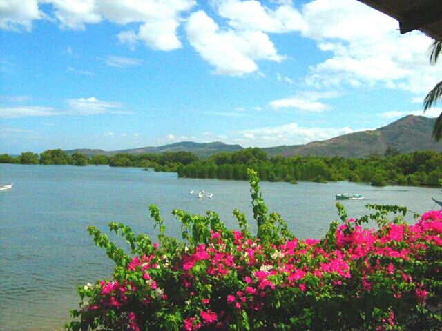 Scenic view of landscape against cloudy sky