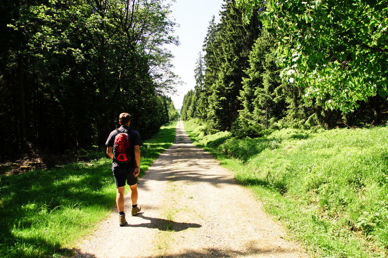 Full length of man walking on footpath amidst trees