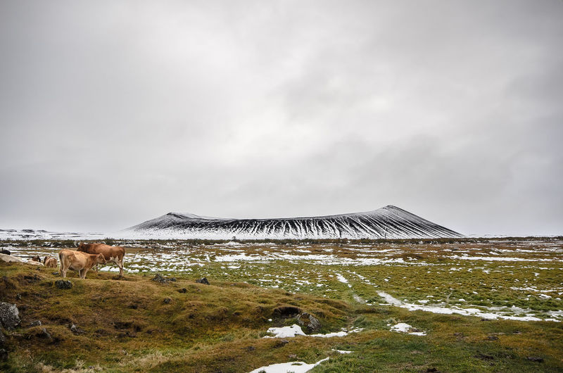 Panoramic view of landscape with hverfjall crater in background in northern iceland