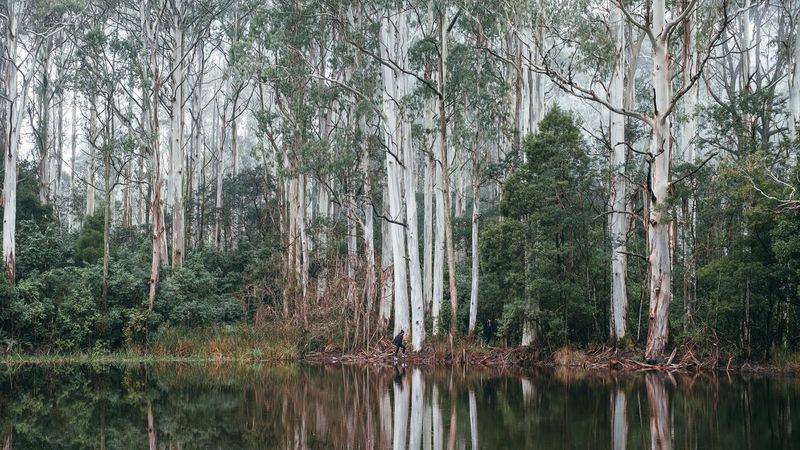 Captured natural beauty