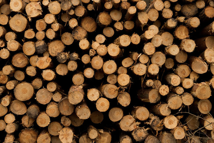 Full frame shot of a log pile
