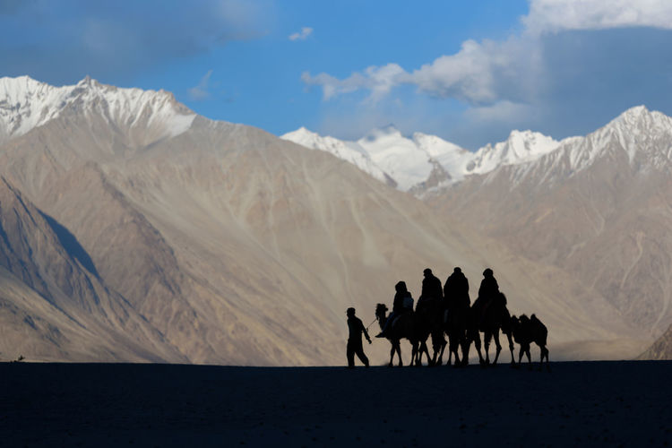 Silhouette people riding camels in desert against mountains