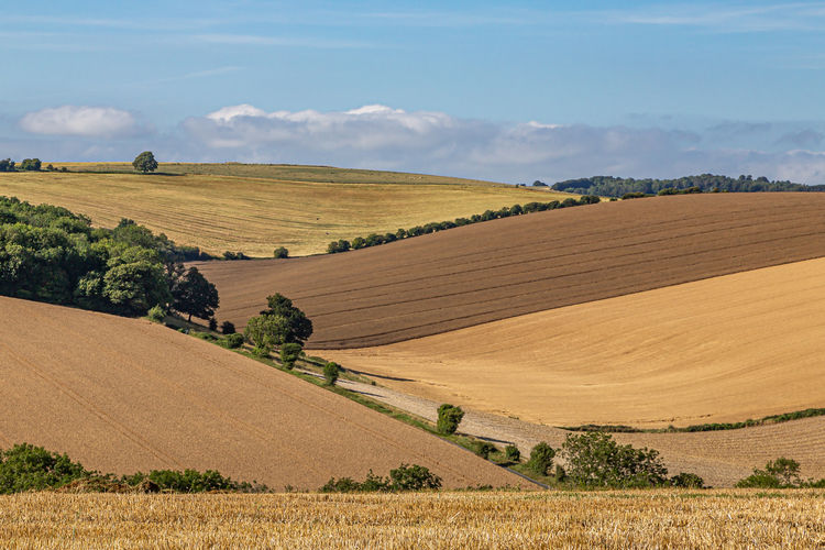 An idyllic sussex patchwork landscape on a sunny summers day