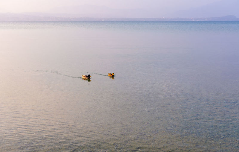 High angle view of people in sea against sky