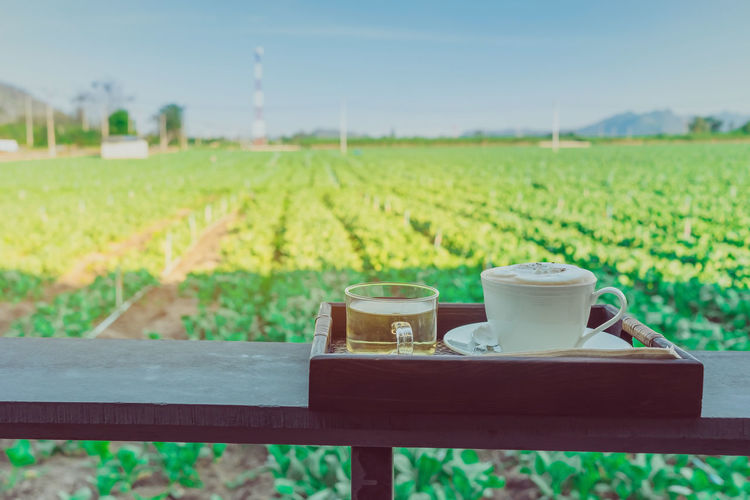 Coffee cup on table in field